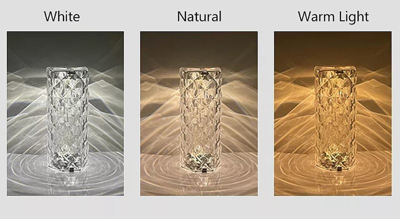 Rose LED Επιτραπέζιο Φωτιστικό Μπαταρίας 3 Color 5