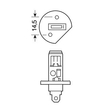 H1 ΑΛΟΓΟΝΟΥ 12V/55W