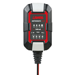 ΦΟΡΤΙΣΤΗΣ/ΣΥΝΤΗΡΗΤΗΣ ΜΠΑΤΑΡΙΑΣ AMPEROMATIC BIKE 6/12V 1A 2>20Ah GEL/STD/SMF/AGM/EFB/LiFePo4 LAMPA - 1 ΤΕΜ