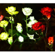 Φωτιζόμενα διακοσμητικά λουλούδια LED με ηλιακό πάνελ - 2pcs - 150289 - Pink