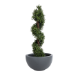 GloboStar® Artificial Garden BALTIMORE 20697 Διακοσμητικό Πολυεστερικό Τσιμεντένιο Κασπώ Γλάστρα - Flower Pot Γκρι Φ61 x Υ30cm