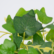 GloboStar® CANARIAN IVY 78232 Τεχνητό Φυτό Κισσός Καναρίων - Μπουκέτο Διακοσμητικών Φυτών - Κλαδιών με Φύλλωμα Πράσινο Υ25cm
