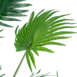 GloboStar® Artificial Garden PALM TREE 20014 Τεχνητό Διακοσμητικό Φυτό Φοινικόδεντρο Βεντάλια Υ210cm