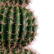 GloboStar® Artificial Garden FEROCACTUS 20138 Τεχνητό Διακοσμητικό Φυτό Φερόκακτος Υ95cm