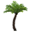GloboStar® Artificial Garden PHOENIX ROEBELENII PALM TREE 20188 Τεχνητό Διακοσμητικό Φυτό Φοινικόδεντρο Ρομπελίνι Εξωτερικού Χώρου IP68 UV Certified Protection Υ400cm