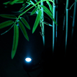 GloboStar® TREELIGHT-TREEGAL 90463 Σποτ Φωτισμού Ειδικό για Φυτά - Δέντρα με Βάση Μπετού & Κορμού LED 3W 315lm 15° DC 24V Αδιάβροχο IP67 Φ5 x Υ14.7cm RGBW DMX512 - Γκρι Ανθρακί - 3 Years Warranty