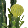 GloboStar® Artificial Garden CEREUS JAMACARU CACTUS 20193 Τεχνητό Διακοσμητικό Φυτό Κάκτος Κηρίος Υ120cm