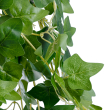 GloboStar® Artificial Garden IVY HANGING BRANCH 20251 Τεχνητό Διακοσμητικό Κρεμαστό Φυτό Κισσός Υ130cm