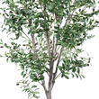 GloboStar® Artificial Garden OLIVE TREE 20429 Τεχνητό Διακοσμητικό Δέντρο Ελιά Υ240cm