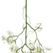 GloboStar® Artificial Garden EUCALYPTUS HANGING BRANCH 20409 Τεχνητό Διακοσμητικό Κρεμαστό Φυτό Ευκάλυπτος Υ89cm