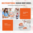VEVOR Human Brain Model Anatomy, Ανατομικό μοντέλο ανθρώπινου εγκεφάλου 1:1 φυσικού μεγέθους 9-τμημάτων με ετικέτες &amp; βάση προβολής, αποσπώμενο μοντέλο εγκεφάλου για επιστημονική έρευνα Διδασκαλία Μάθηση Οθόνη Μελέτη στην τάξη