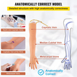 VEVOR Phlebotomy Practice Kit, IV Venipuncture Intravenous Training, High Simulation IV Practice Arm Kit with Carrying Bag, Practice and Perfect IV Skills, για φοιτητές Νοσηλευτές και επαγγελματίες