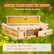 VEVOR Bee Hive Langstroth Kit Medium Beehive 10 Frames Acrylic Bee Windows