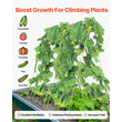 VEVOR A-Frame Cucumber Trellis 35" x 55" Πτυσσόμενο μεταλλικό καφασωτό κήπου