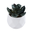 GloboStar® Artificial Garden SUCCULENT ECHEVERIA 20990 Διακοσμητικό Φυτό Παχύφυτο Εχεβέρια Υ8.5cm