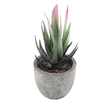 GloboStar® Artificial Garden SUCCULENT ALOE 21008 Διακοσμητικό Φυτό Παχύφυτο Αλόη Υ14cm