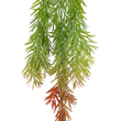GloboStar® Artificial Garden HANGING BARLEY 20858 Τεχνητό Διακοσμητικό Κρεμαστό Φυτό Κριθάρι Μ26 x Π15 x Υ81cm