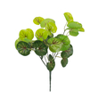 GloboStar® CENTELLA 78267 Τεχνητό Φυτό Σεντέλα - Μπουκέτο Διακοσμητικών Φυτών - Κλαδιών με Φύλλωμα Πράσινο Υ33cm