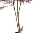 GloboStar® Artificial Garden RED NANDINA PLANT 20966 Διακοσμητικό Φυτό Κόκκινη Ναντίνα Φ66 x Υ150cm