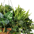 GloboStar® Artificial Garden VARIOUS HANGING PLANT 20623 Τεχνητό Κρεμαστό Διακοσμητικό Φυτό Φτέρης Π60 x Μ60 x Y70cm