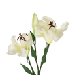 GloboStar® Artificial Garden WHITE LILY BRANCH 21310 Τεχνητό Διακοσμητικό Κλαδί Λευκό Κρίνο Y90cm