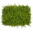 GloboStar® 78414 Artificial - Συνθετικό Τεχνητό Διακοσμητικό Πάνελ Φυλλωσιάς - Κάθετος Κήπος Λέιλαντ - Νάνος Κισσός Πράσινο - Λαδί Πράσινο Μ60 x Υ40 x Π9cm