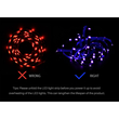 GloboStar® 80024 SONOFF L1-5M-EU-GR-R2 - Wi-Fi Smart RGB LED Light Strip SET 5M Waterproof IP65