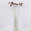 GloboStar® STRAWFLOWER 36530 Αποξηραμένο Φυτό Ελίχρυσο - Μπουκέτο Διακοσμητικών Κλαδιών Μπεζ - Κόκκινο Υ60cm