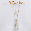 GloboStar® STRAWFLOWER 36531 Αποξηραμένο Φυτό Ελίχρυσο - Μπουκέτο Διακοσμητικών Κλαδιών Μπεζ - Κίτρινο Υ70cm