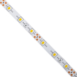 GLOBOSTAR® AVILA 90592 Ταινία LED 4.8W/m 260lm/m 120° DC 12V IP20 60 x SMD 3528 Chip/m Θερμό Λευκό 2700K Dimmable - Μ500 x Π0.8 x Υ0.2cm - Ρολό 5 Μέτρων - 2 Χρόνια Εγγύηση