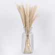 GloboStar® MISCANTHUS 36534 Αποξηραμένο Φυτό Μίσχανθος - Μπουκέτο Διακοσμητικών Κλαδιών Μπεζ Υ40cm
