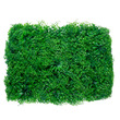 GloboStar® 78435 Artificial - Συνθετικό Τεχνητό Διακοσμητικό Πάνελ Φυλλωσιάς - Κάθετος Κήπος Φύλλα Αγγελικής - Πράσινο Μ60 x Υ50 x Π8cm
