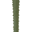 GloboStar® Artificial Garden SERENOA PALM LEAF 20174 Τεχνητό Διακοσμητικό Φύλο Φοινικόδεντρου Σερενόα Βεντάλια Π90 x Υ170cm