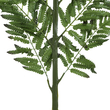 GloboStar® Artificial Garden ALSOPHILA FERN LEAF 20178 Τεχνητό Διακοσμητικό Φύλο Φτέρης Π60 x Υ180cm