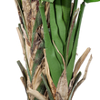 GloboStar® Artificial Garden BANANA STRELITZIA REGINAE 20381 - Τεχνητό Διακοσμητικό Φυτό  Μπανανιά - Στρελίτσια - Πουλί του Παραδείσου Υ230cm