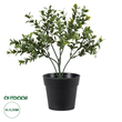 GloboStar® Artificial Garden BUXUS 20388 Τεχνητό Διακοσμητικό Φυτό Πυξός Υ30cm