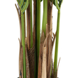 GloboStar® Artificial Garden ARECA PALM TREE 20419 - Τεχνητό Διακοσμητικό Φυτό Φοινικόδεντρο Αρέκα Υ150cm