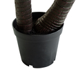 GloboStar® Artificial Garden ARECA PALM TREE 20421 - Τεχνητό Διακοσμητικό Φυτό Φοινικόδεντρο Αρέκα Υ260cm