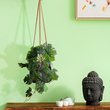 GloboStar® Artificial Garden HANGING MONSTERA 20600 - Τεχνητό Διακοσμητικό Κρεμαστό Φυτό Μονστέρα Μ28 x Π30 x Υ50cm