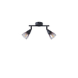 ΣΠΟΤ ΜΕΤΑΛΛΙΚΟ ΜΕ SMOKY ΓΥΑΛΙ 2ΦΩΤΟ 2XE14  220X80X165mm ARTE ILLUMINA CLASSY