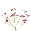 GloboStar® Artificial Garden PINK BRANCH BABY BREATH 21368 Τεχνητό Διακοσμητικό Κλαδί Ροζ Γυψοφίλης Y53cm