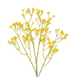 GloboStar® Artificial Garden YELLOW BRANCH BABY BREATH 21370 Τεχνητό Διακοσμητικό Κλαδί Κίτρινης Γυψοφίλης Y53cm