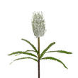 GloboStar® Artificial Garden WHITE STUPA FRUIT BRANCH 21374 Τεχνητό Διακοσμητικό Κλαδί Στίπα Y69cm