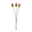 GloboStar® Artificial Garden PINK VELVET FRUIT BOUQET 21377 Τεχνητό Διακοσμητικό  Μπουκέτο Βερμπάσκο Y56cm