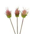 GloboStar® Artificial Garden PINK VELVET FRUIT BOUQET 21377 Τεχνητό Διακοσμητικό  Μπουκέτο Βερμπάσκο Y56cm