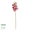 GloboStar® Artificial Garden  PINK ORCHID  BRANCH 21412 Τεχνητό Διακοσμητικό Κλαδί Ροζ Ορχιδέα Y70cm