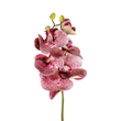GloboStar® Artificial Garden  PINK ORCHID  BRANCH 21412 Τεχνητό Διακοσμητικό Κλαδί Ροζ Ορχιδέα Y70cm