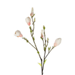 GloboStar® Artificial Garden CHAMPAGNE MAGNOLIA BRANCH 21423 Τεχνητό Διακοσμητικό Κλαδί Σαμπανί Μαγνόλια Y100cm