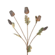 GloboStar® Artificial Garden POPPY FRUIT BRANCH 21432 Τεχνητό Διακοσμητικό Κλαδί Παπαρούνα Y62cm