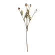 GloboStar® Artificial Garden POPPY FRUIT BRANCH 21433 Τεχνητό Διακοσμητικό Κλαδί Παπαρούνα Y60cm